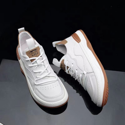 EliteSteps: Men's Genuine Leather Shoes