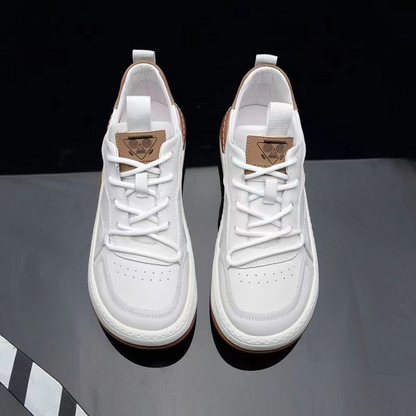 EliteSteps: Men's Genuine Leather Shoes