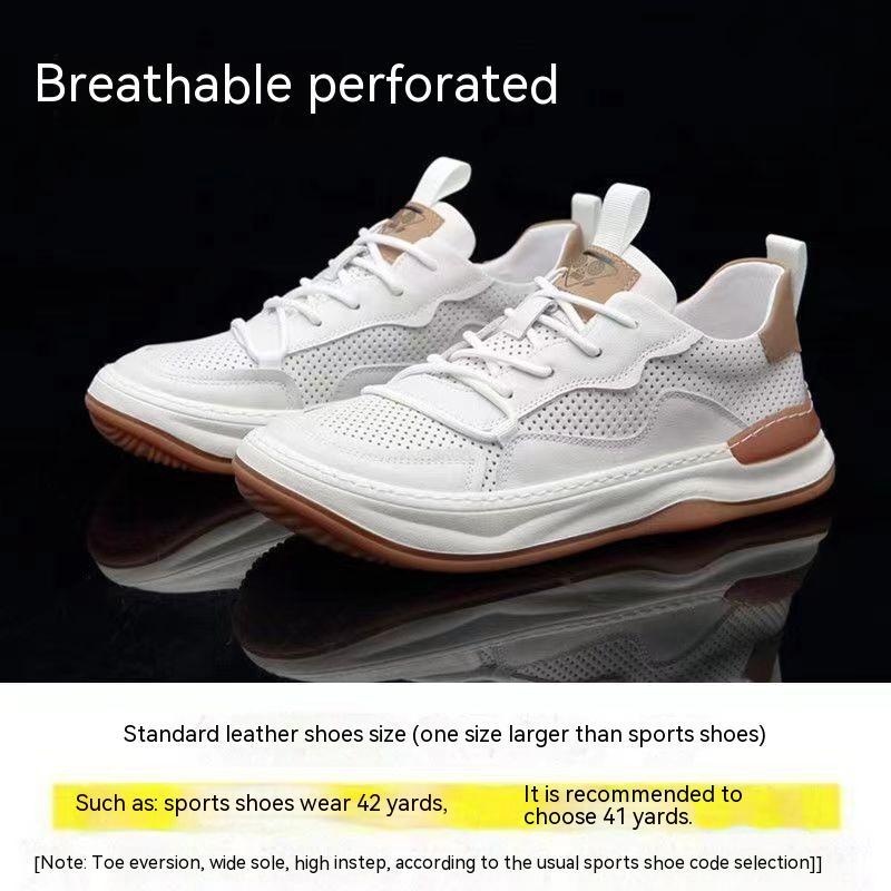 EliteSteps: Men's Genuine Leather Shoes