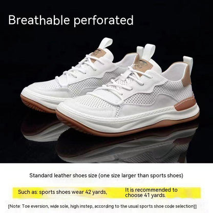 EliteSteps: Men's Genuine Leather Shoes